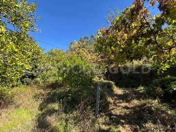 Terreno para Venda em Verim, Friande e Ajude