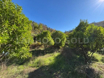 Terreno para Venda em Verim, Friande e Ajude