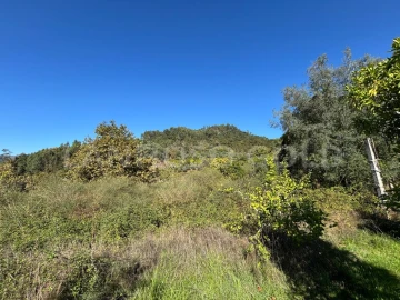 Terreno para Venda em Verim, Friande e Ajude