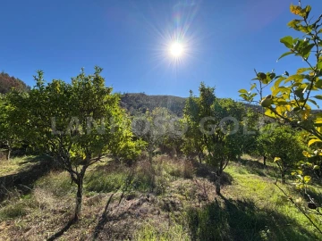 Terreno para Venda em Verim, Friande e Ajude