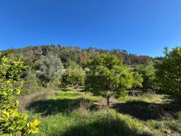 Terreno para Venda em Verim, Friande e Ajude