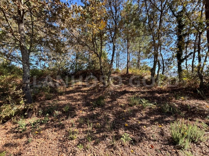 Terreno para Venda em Verim, Friande e Ajude Foto 7