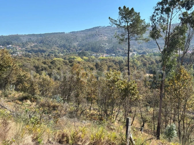 Terreno para Venda em Verim, Friande e Ajude Foto 11
