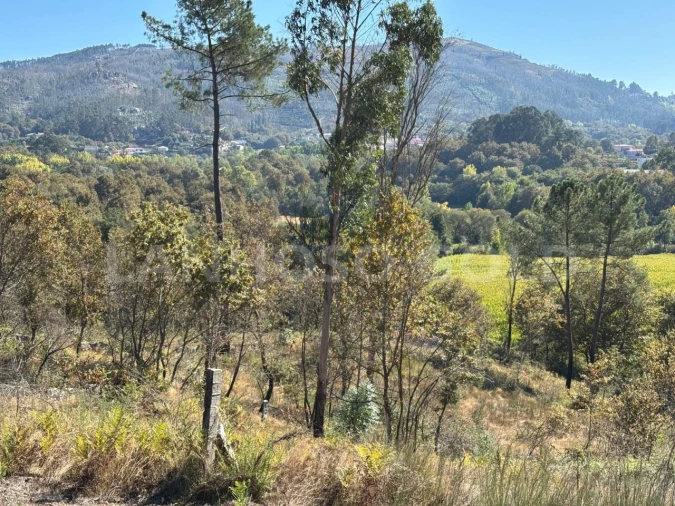 Terreno para Venda em Verim, Friande e Ajude Foto 12