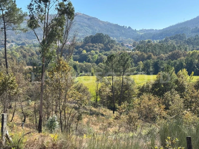 Terreno para Venda em Verim, Friande e Ajude Foto 13