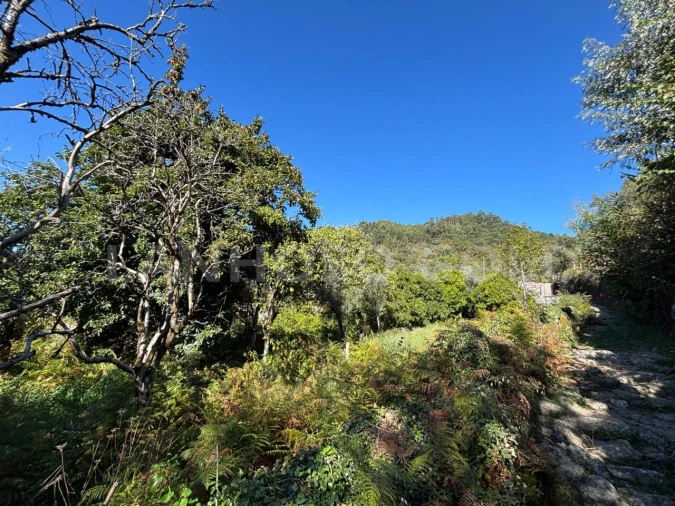 Terreno para Venda em Verim, Friande e Ajude Foto 17