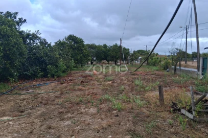 Moradia T3 para Venda em Marinhais