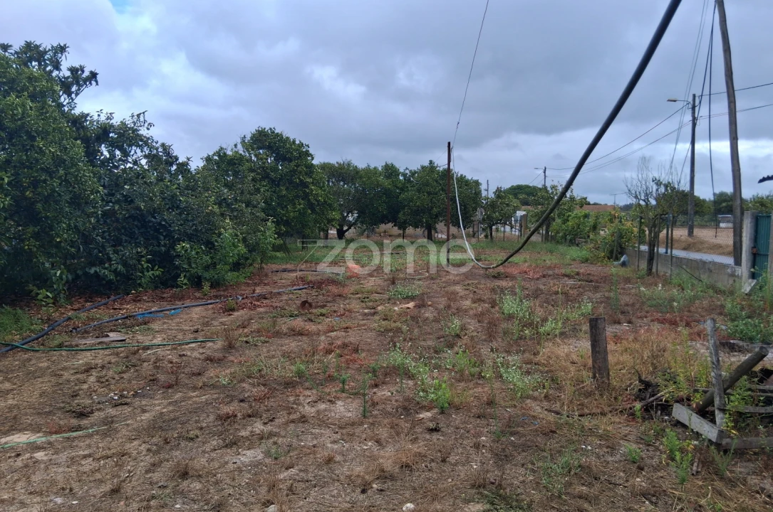 Moradia T3 para Venda em Marinhais Foto 13
