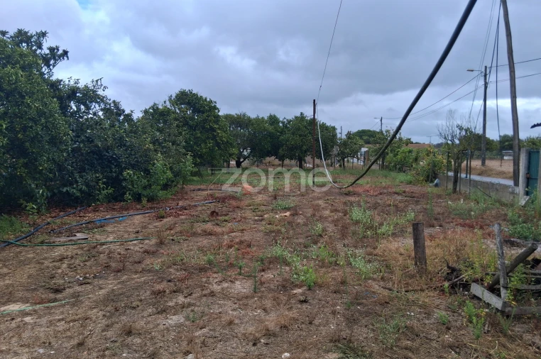 Moradia T3 para Venda em Marinhais Foto 13