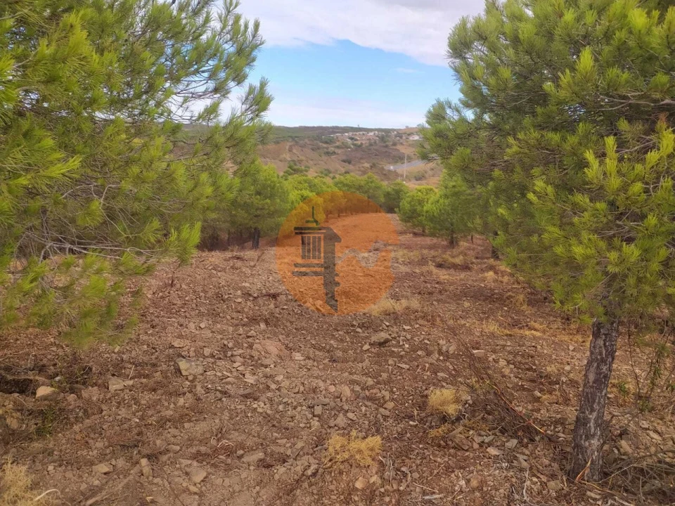 Terreno para Venda em Azinhal Foto 1