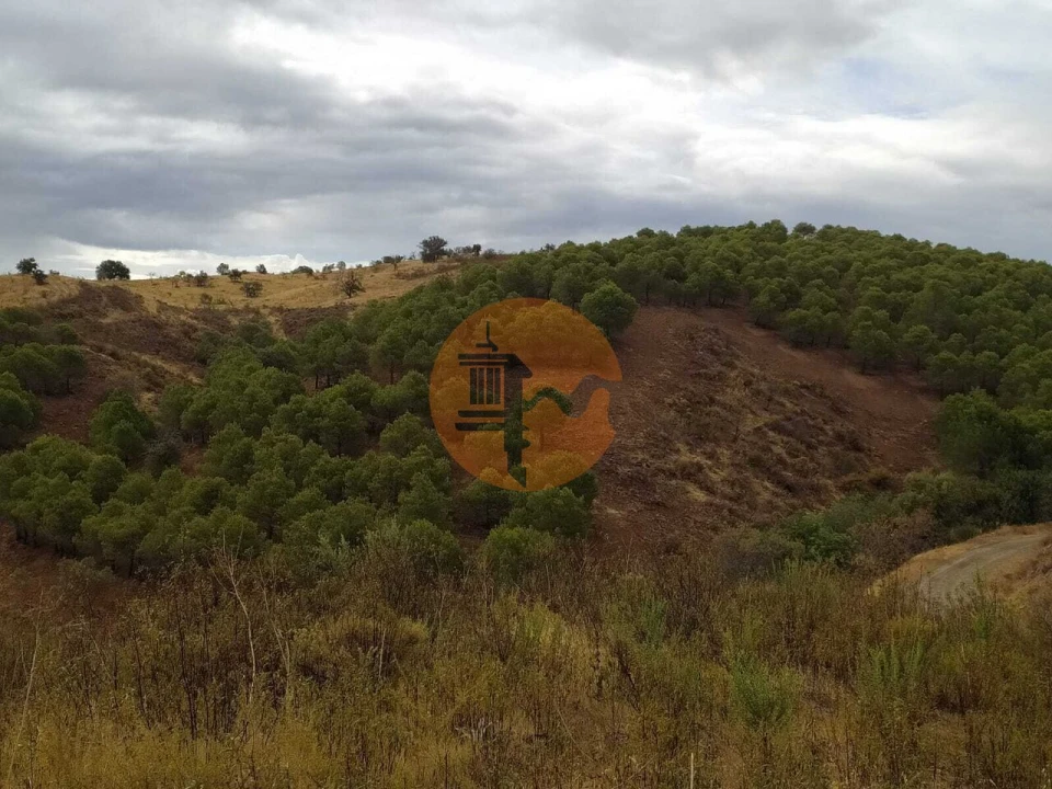 Terreno para Venda em Azinhal Foto 3