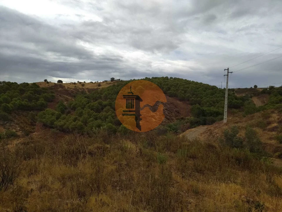 Terreno para Venda em Azinhal Foto 5