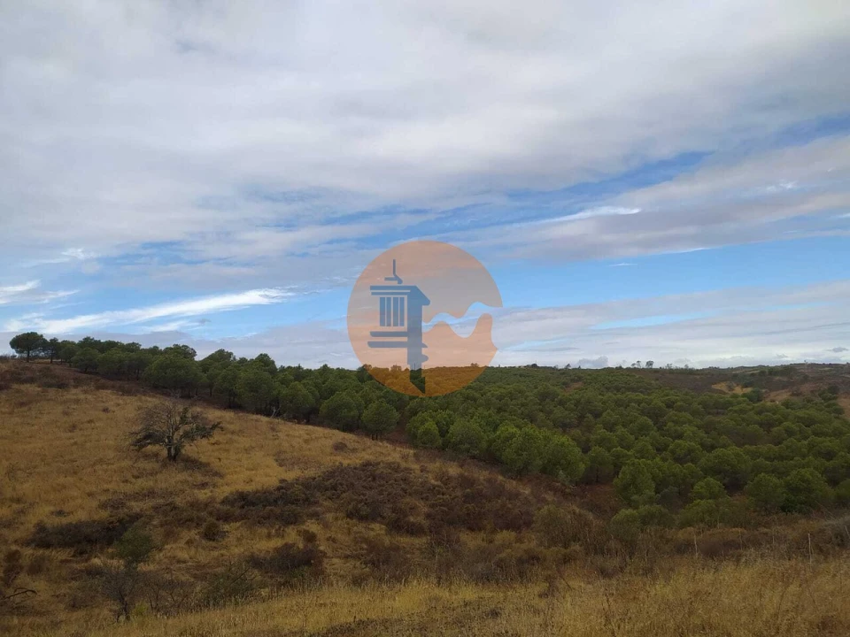 Terreno para Venda em Azinhal Foto 9