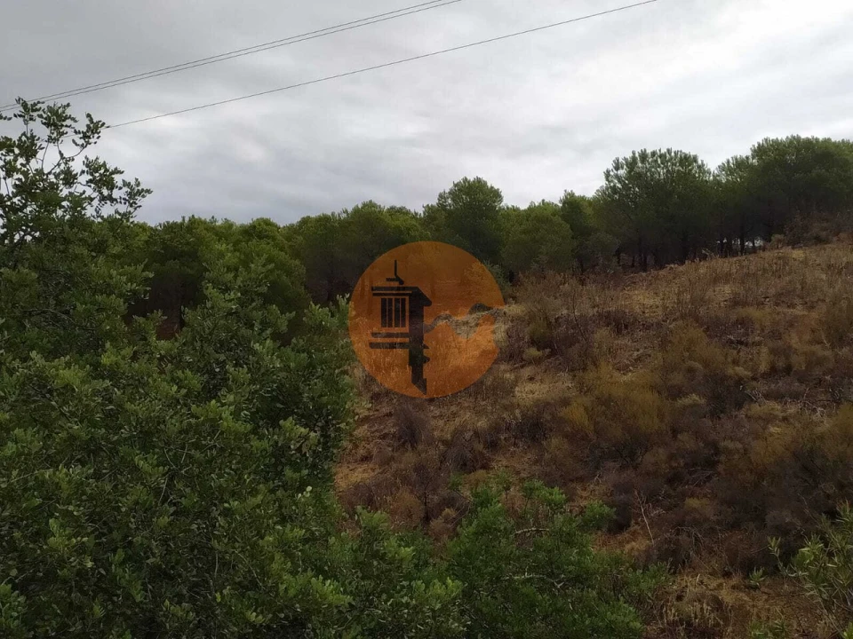 Terreno para Venda em Azinhal Foto 13