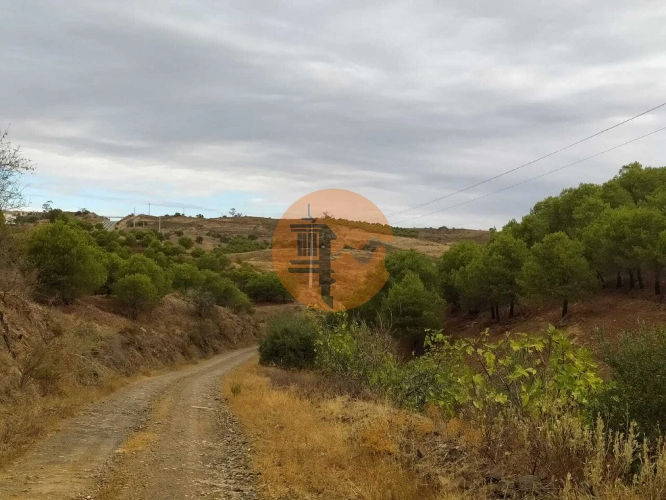 Terreno para Venda em Azinhal Foto 14
