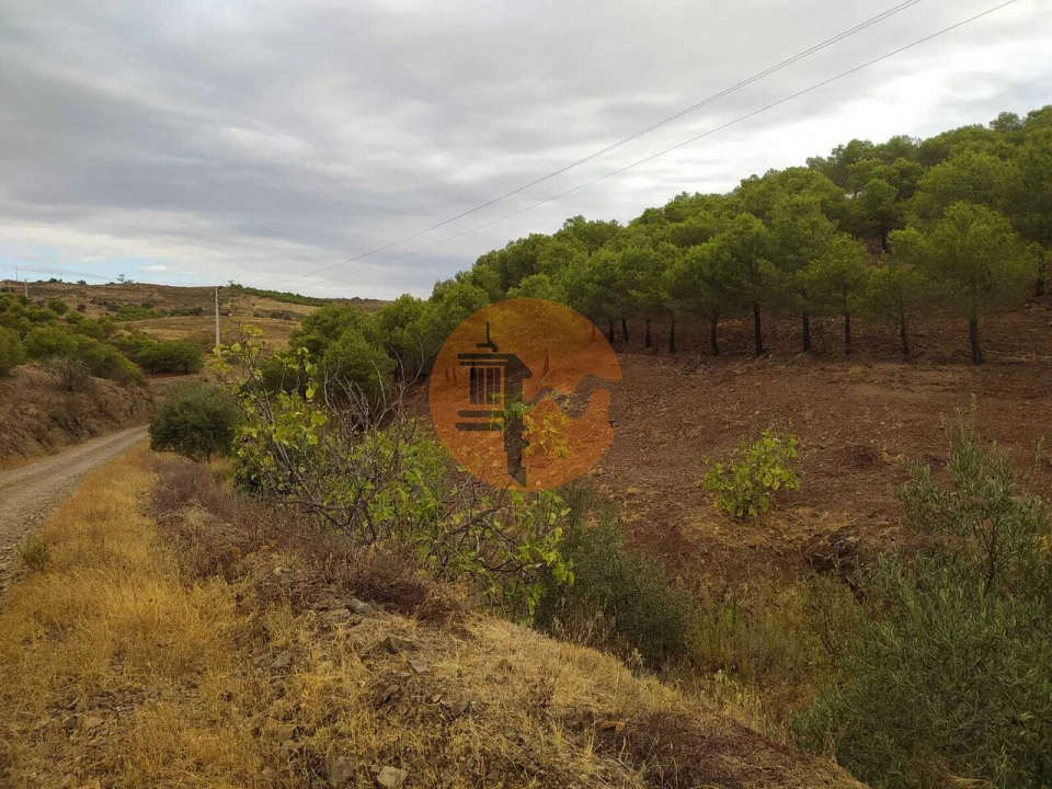 Terreno para Venda em Azinhal Foto 17