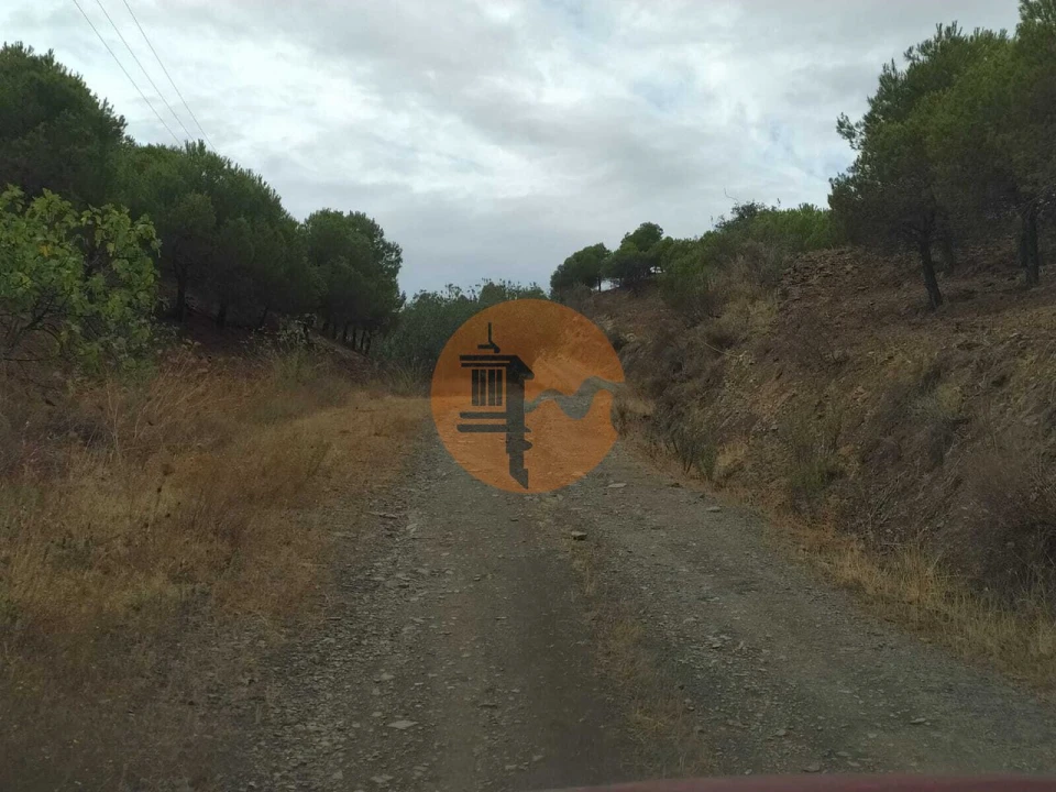 Terreno para Venda em Azinhal Foto 18
