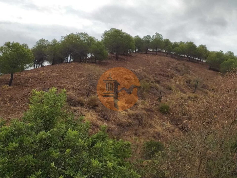 Terreno para Venda em Azinhal Foto 20