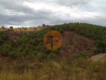 Terreno para Venda em Azinhal