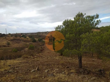Terreno para Venda em Azinhal