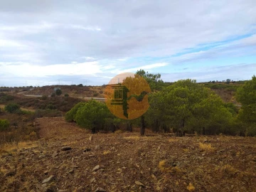 Terreno para Venda em Azinhal