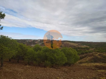 Terreno para Venda em Azinhal