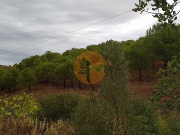 Terreno para Venda em Azinhal