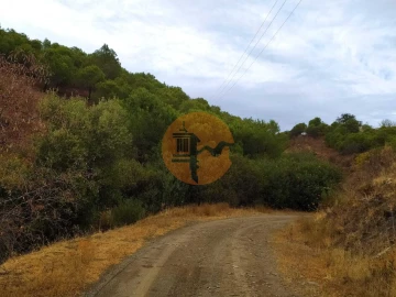 Terreno para Venda em Azinhal