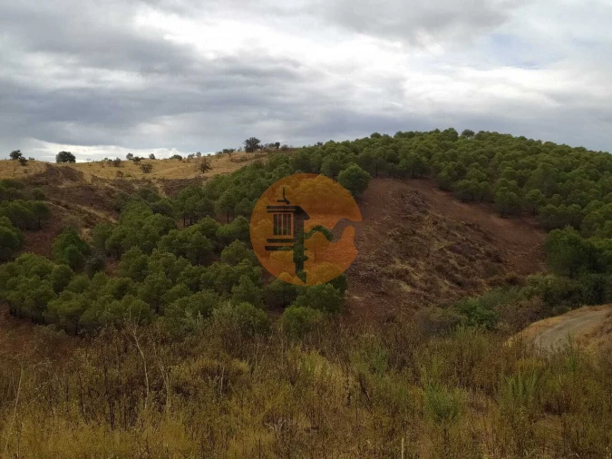 Terreno para Venda em Azinhal Foto 3