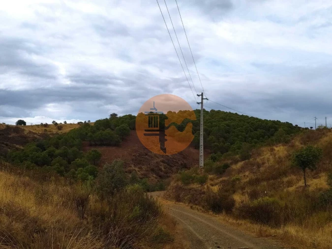 Terreno para Venda em Azinhal Foto 4