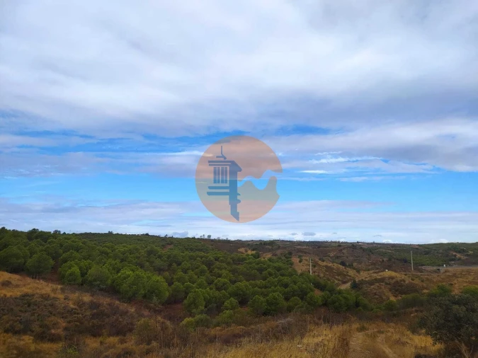 Terreno para Venda em Azinhal Foto 7