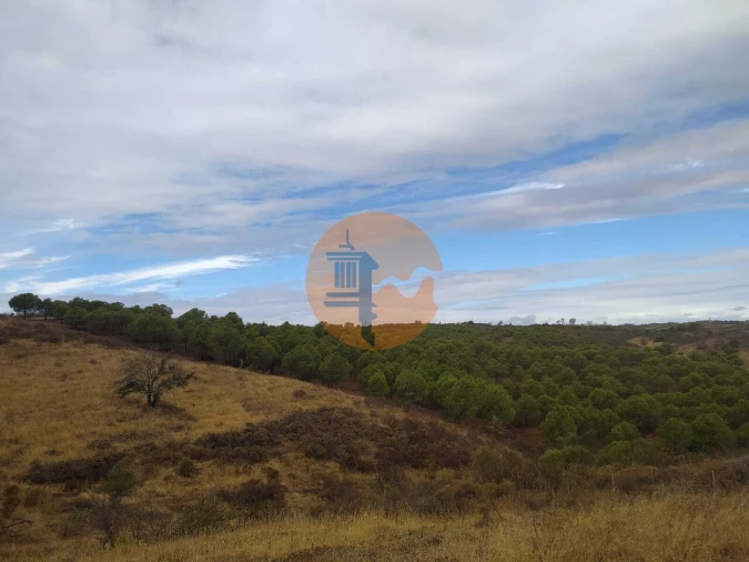 Terreno para Venda em Azinhal Foto 9