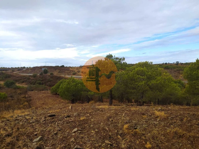 Terreno para Venda em Azinhal Foto 10
