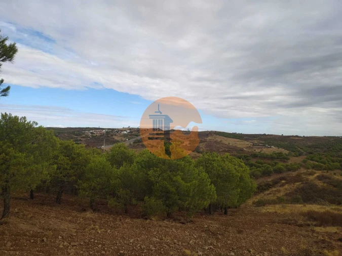 Terreno para Venda em Azinhal Foto 12