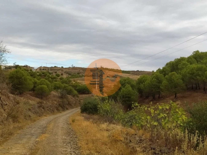 Terreno para Venda em Azinhal Foto 14