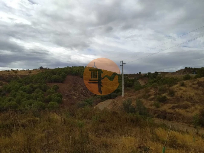 Terreno para Venda em Azinhal Foto 16
