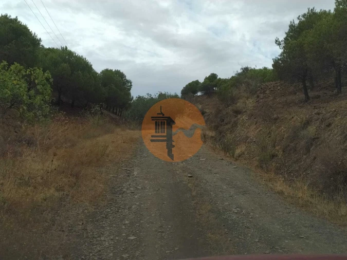 Terreno para Venda em Azinhal Foto 18