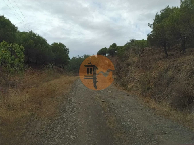 Terreno para Venda em Azinhal Foto 22