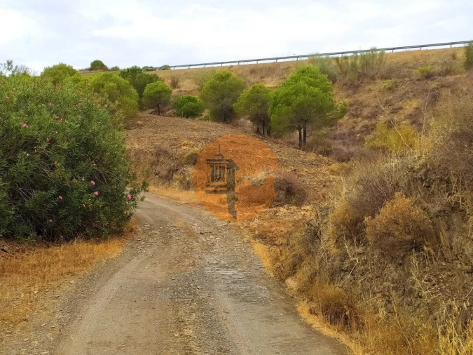 Terreno para Venda em Azinhal Foto 23