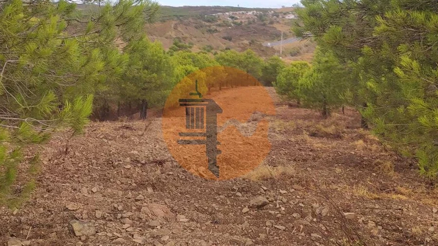 Terreno para Venda em Azinhal