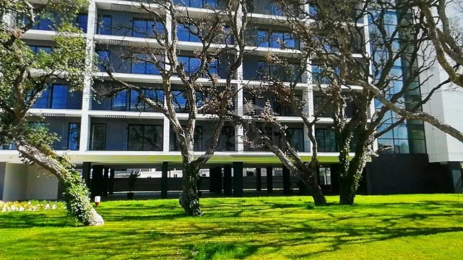 Apartamento T1 para Arrendamento em Paranhos