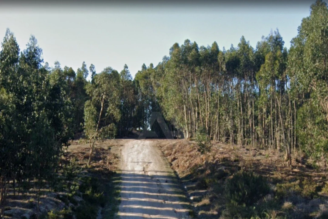 Terreno para Venda em Ramalhal Foto 5