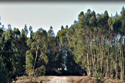 Terreno para Venda em Ramalhal