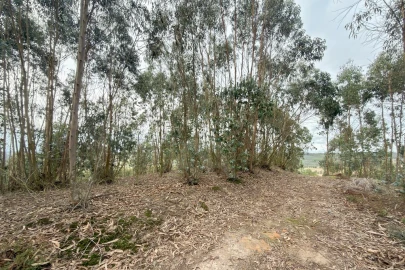 Terreno para Venda em Ramalhal