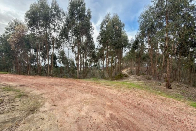 Terreno para Venda em Ramalhal