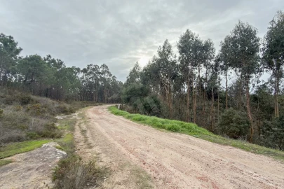 Terreno para Venda em Ramalhal