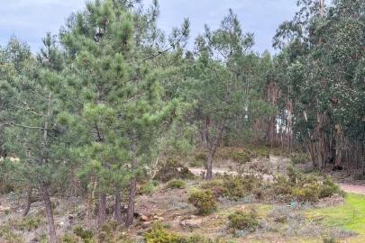 Terreno para Venda em Ramalhal