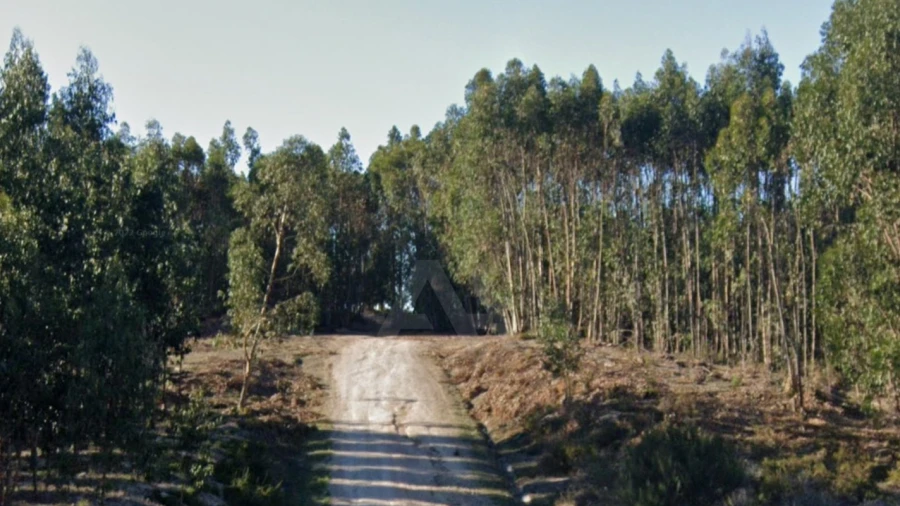 Terreno para Venda em Ramalhal