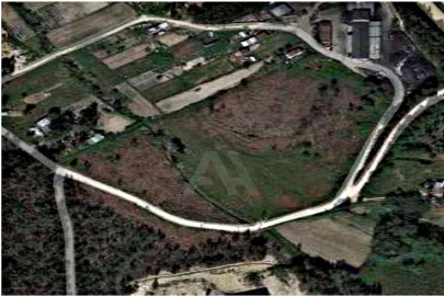 Terreno para Venda em Ramalhal