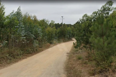 Terreno para Venda em Ramalhal